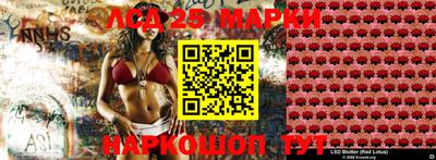 шишки Изобильный