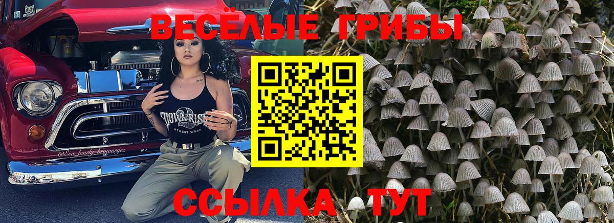 Галлюциногенные грибы мицелий  Вход с VPN  Лабытнанги 