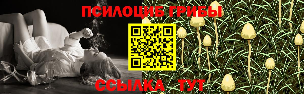 Галлюциногенные грибы мухоморы Лабытнанги